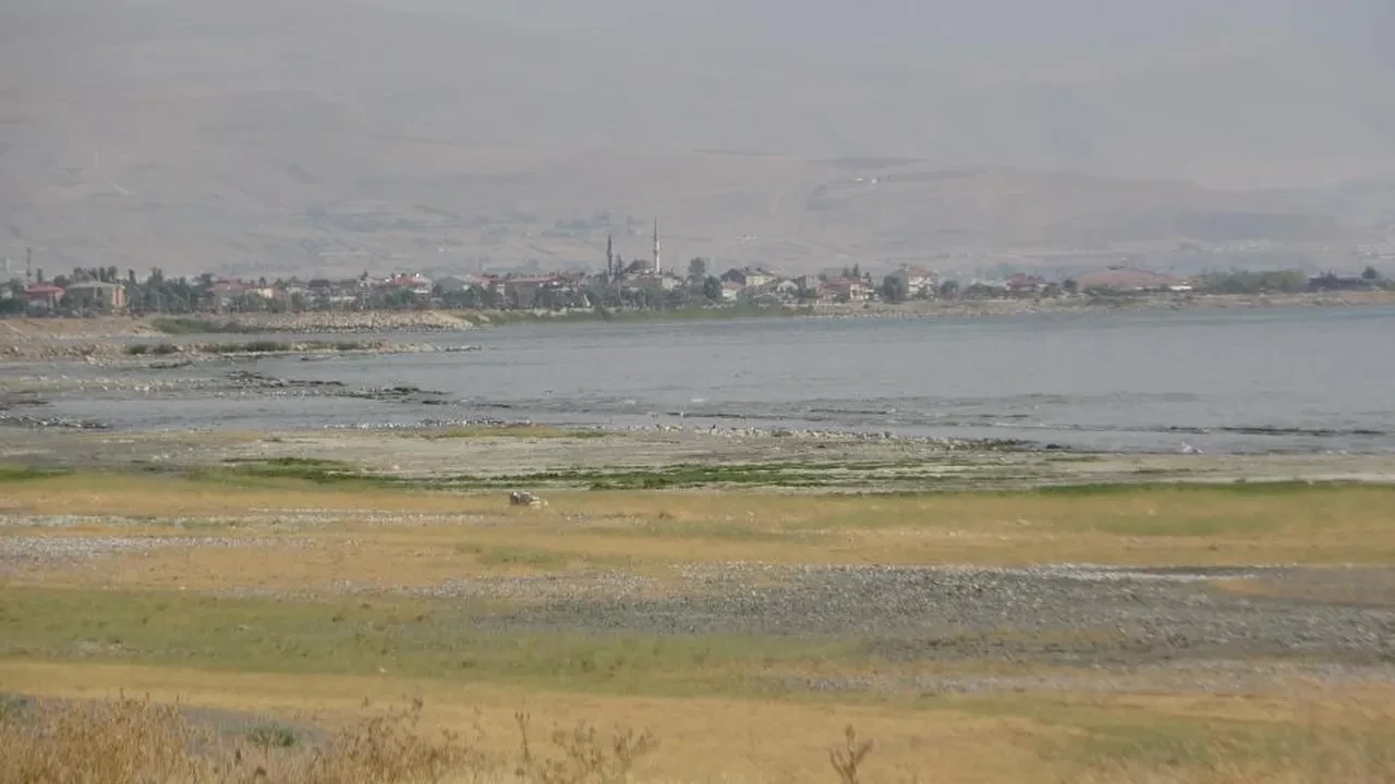 Van Gölü alarm veriyor! Uydudan bile görüldü: 'Böyle devam ederse...'