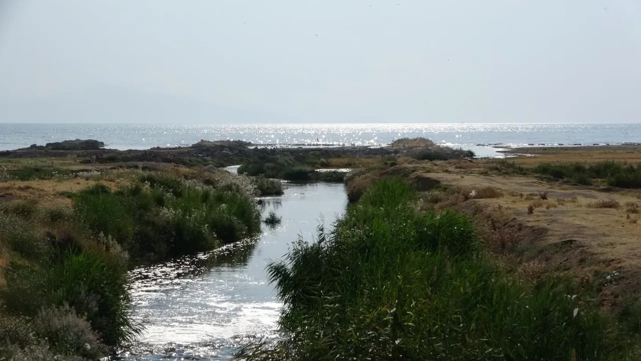 Van Gölü alarm veriyor! Uydudan bile görüldü: 'Böyle devam ederse...'
