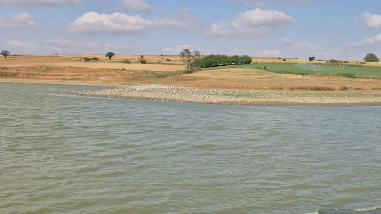 Bir il daha kuralık tehlikesiyle karşı karşıya! Su seviyesi yüzde 5'e düştü