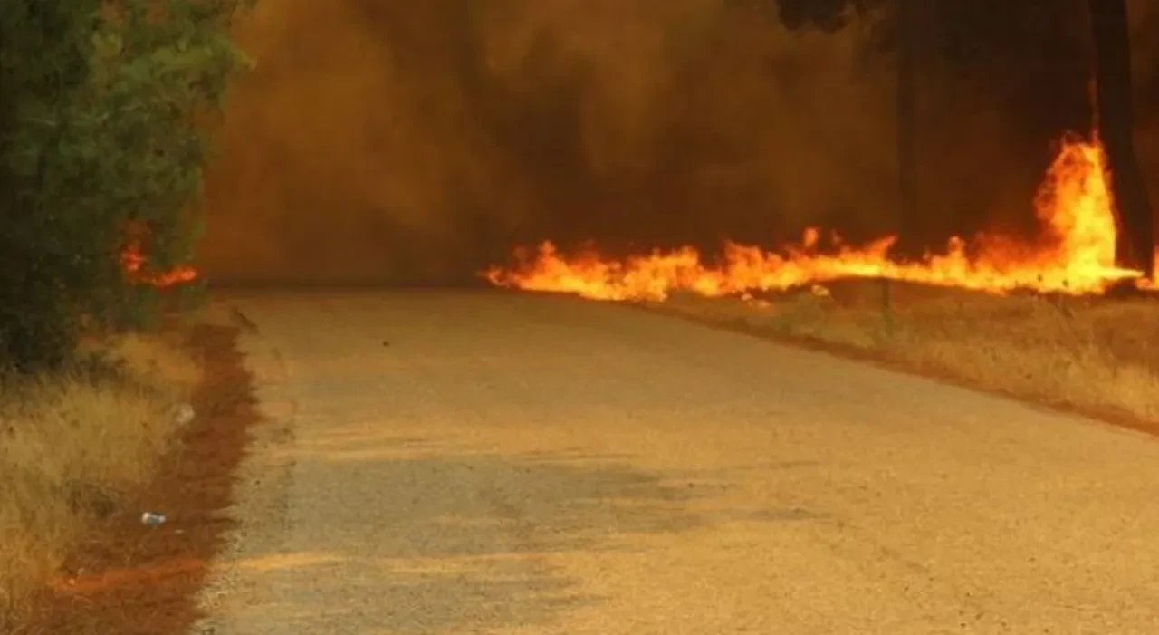 Çanakkale'deki orman yangınında son durum! Kampüs ve köyler tahliye edildi, havalimanı kapatıldı
