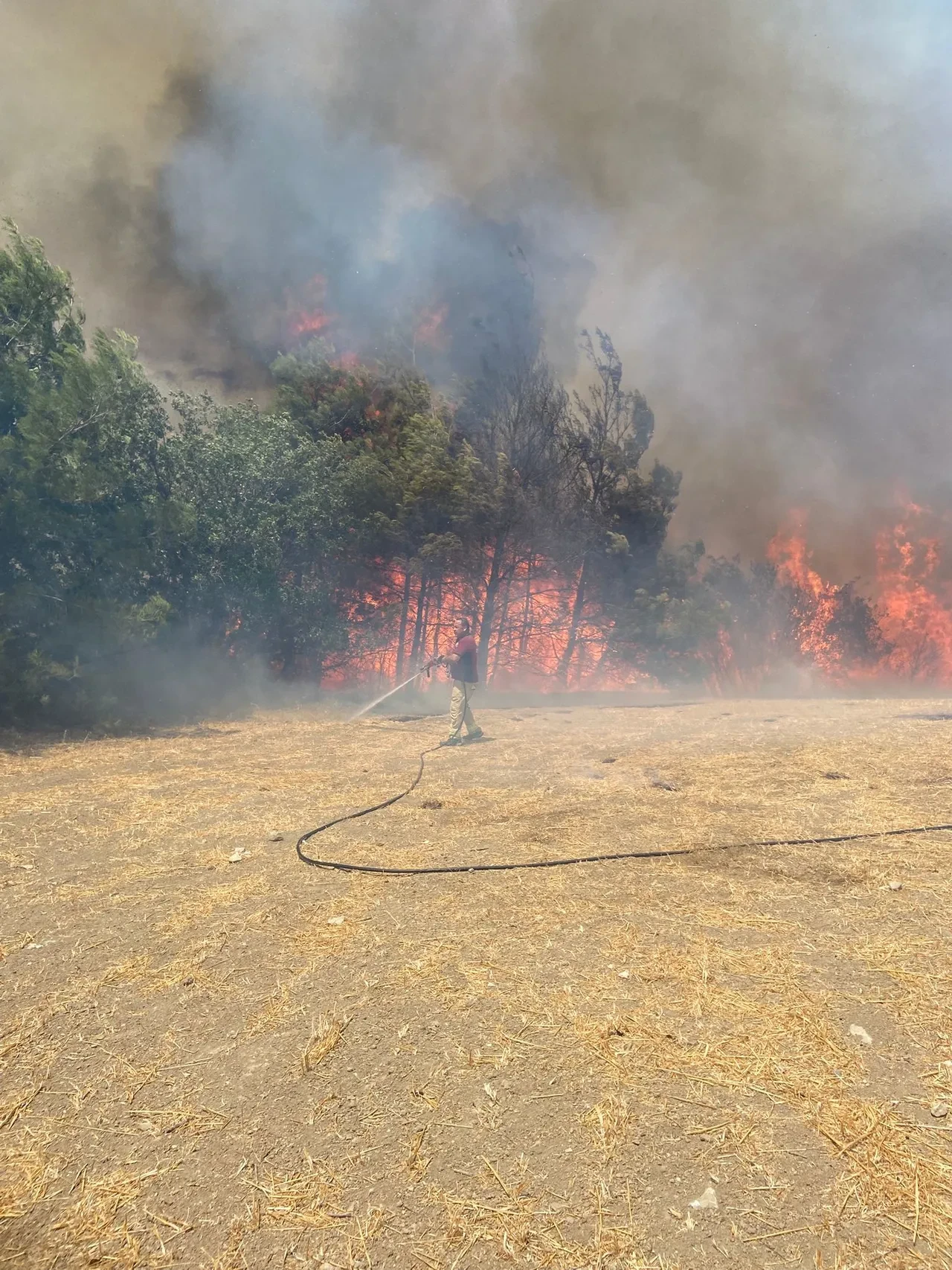 Çanakkale'de yangın mı var, nerede? Son dakika Çanakkale yangınında son durum