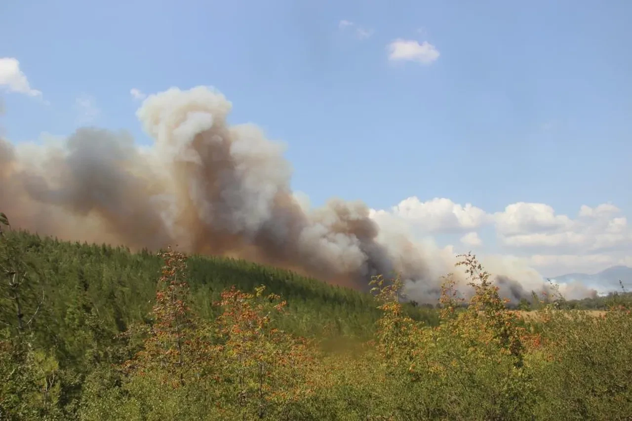 Çanakkale'deki orman yangınında son durum! Kampüs ve köyler tahliye edildi, havalimanı kapatıldı
