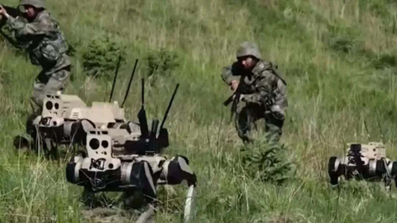 Çin, "robot kurtları" ile savaş alanında korku salacak! "Dronlardan bile daha etkili"