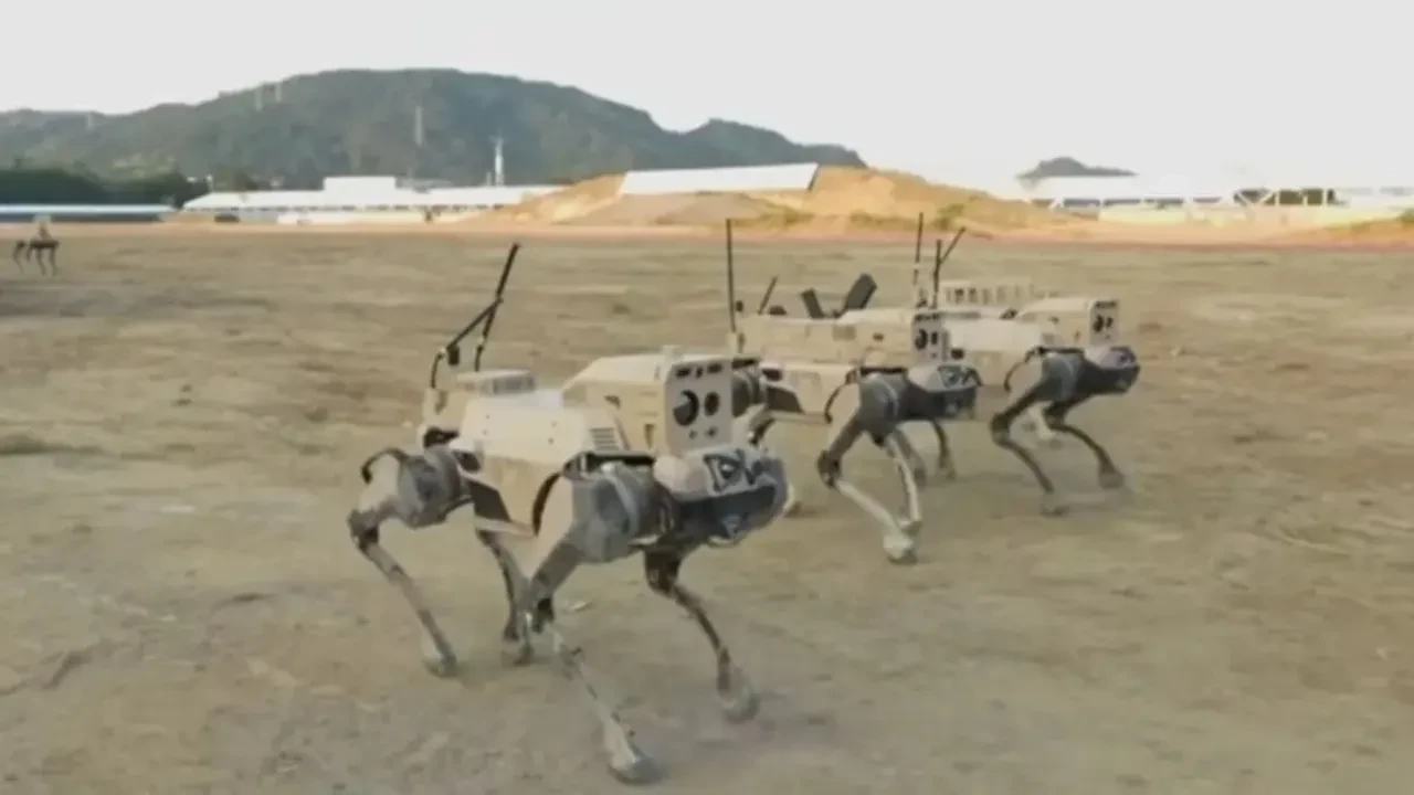 Çin, "robot kurtları" ile savaş alanında korku salacak! "Dronlardan bile daha etkili"