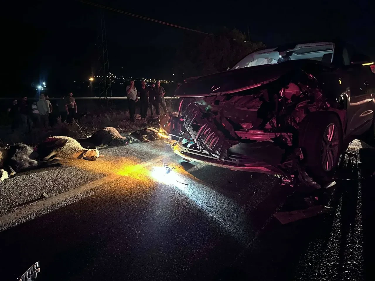 Erzincan'da otomobil sürüye çarptı! Onlarca hayvan telef oldu