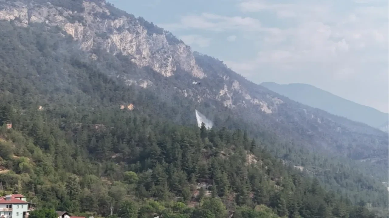 Karabük'te orman yangını! Alevler kısmen kontrol altında