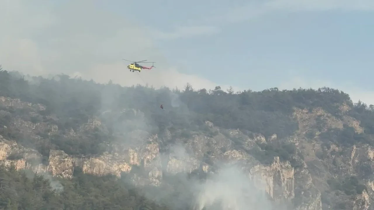 Karabük'te orman yangını! Alevler kısmen kontrol altında