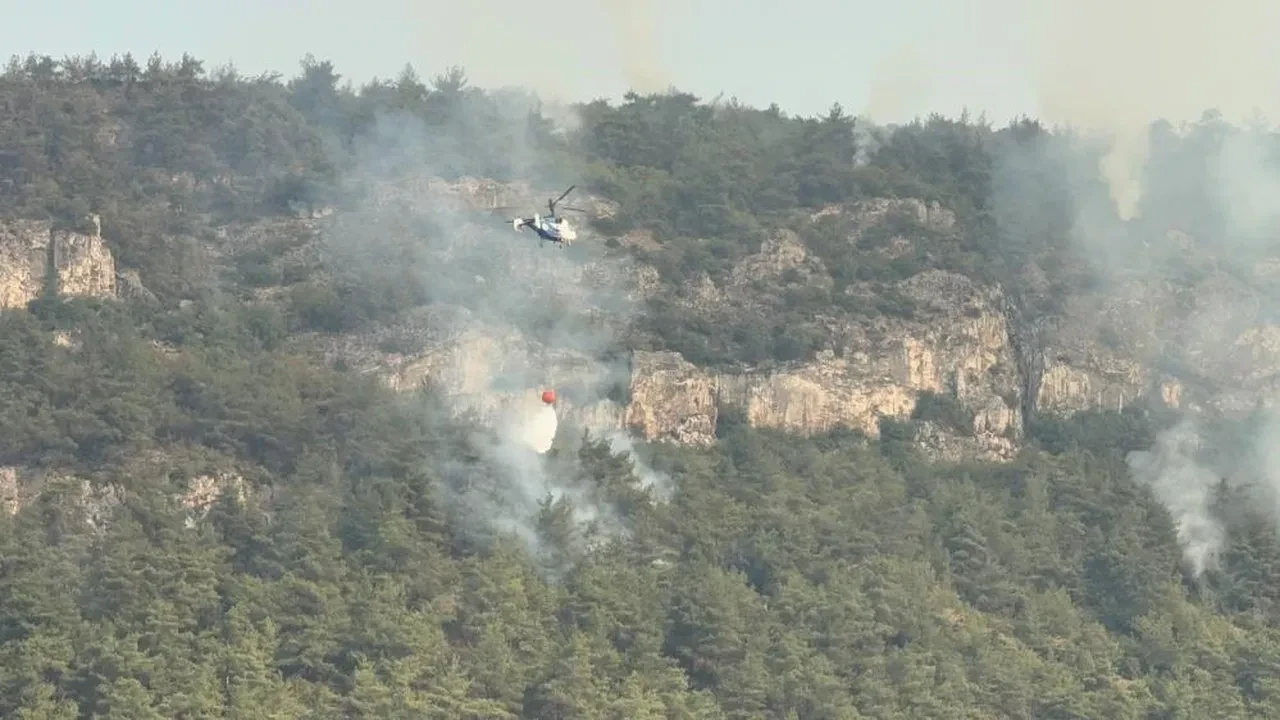 Karabük'te orman yangını! Alevler kısmen kontrol altında