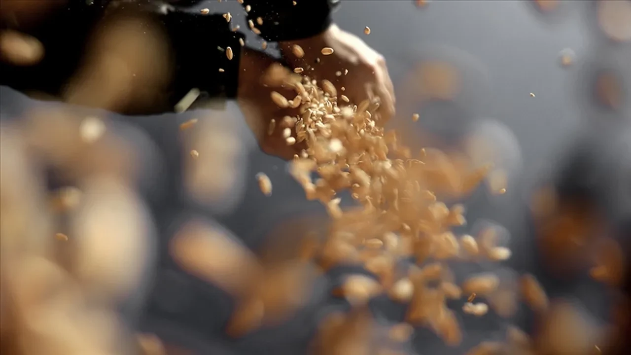 Türkiye'de 7 ayda 7,1 milyar dolarlık hububat ihracatı