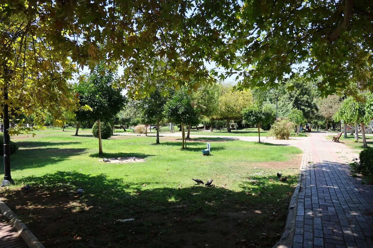 Adana kavruluyor! Son 95 yılın en sıcak günü! Termometreler 51 dereceyi gösterdi