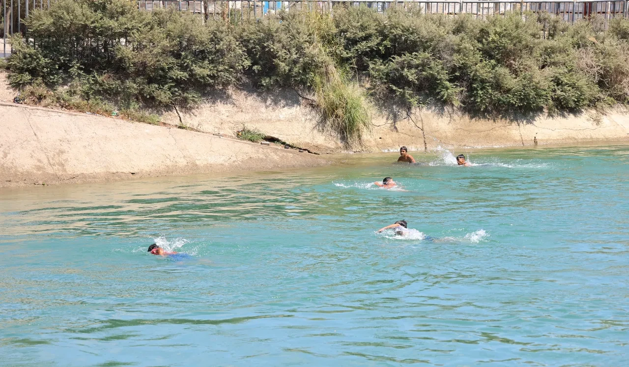 Adana kavruluyor! Son 95 yılın en sıcak günü! Termometreler 51 dereceyi gösterdi