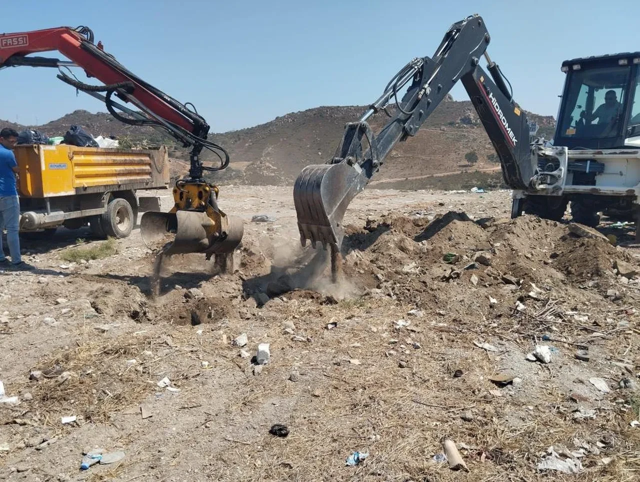 Bodrum’da ölü yunus sahile vurdu: Turistleri şoke eden görüntüler!