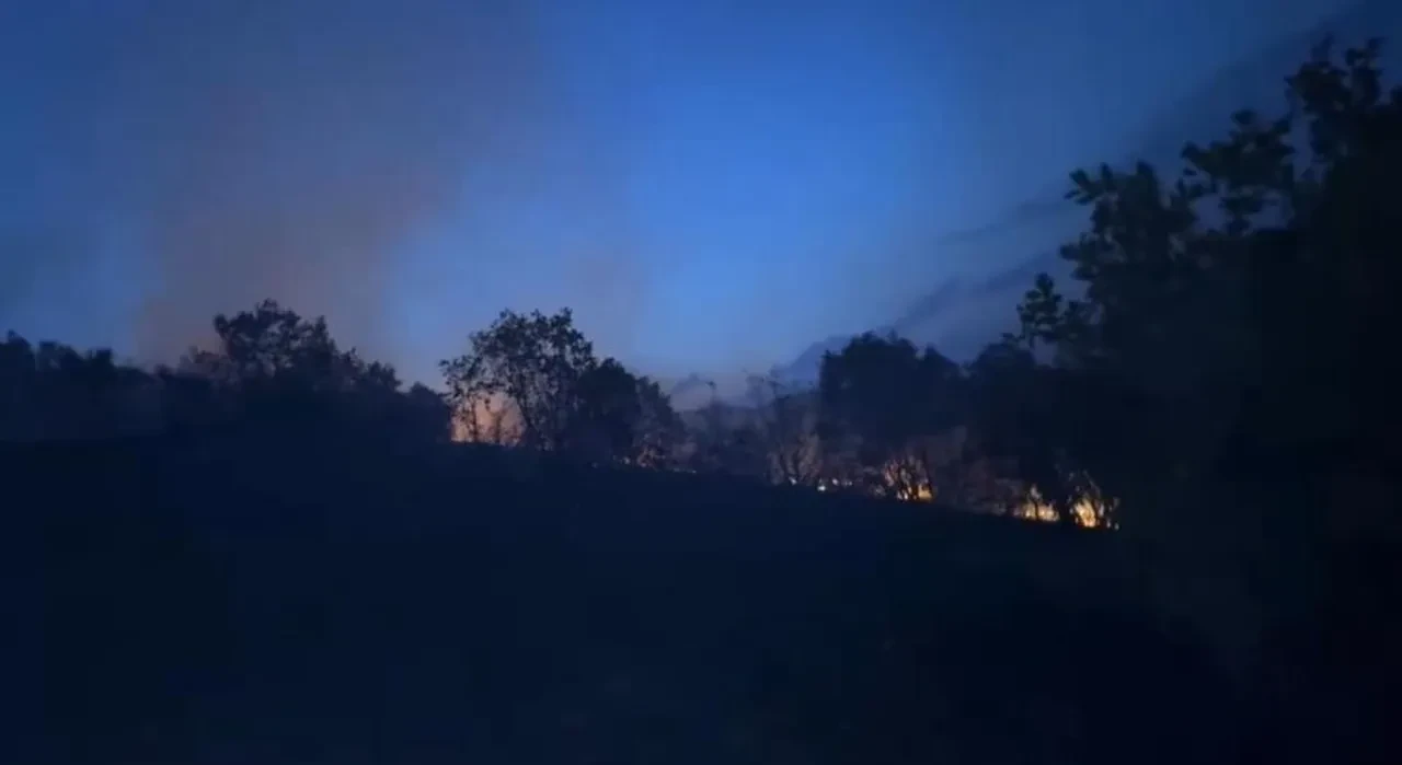 Diyarbakır’da ağaçlık alanda korkutan yangın: Tahliye edildiler!