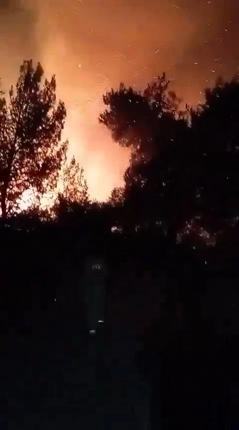 Çanakkale’de orman yangınıyla mücadele gece de sürüyor