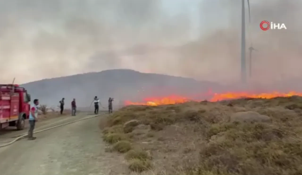 Paşalimanı Adası'nda yangın! Ekiplerin müdahalesi sürüyor
