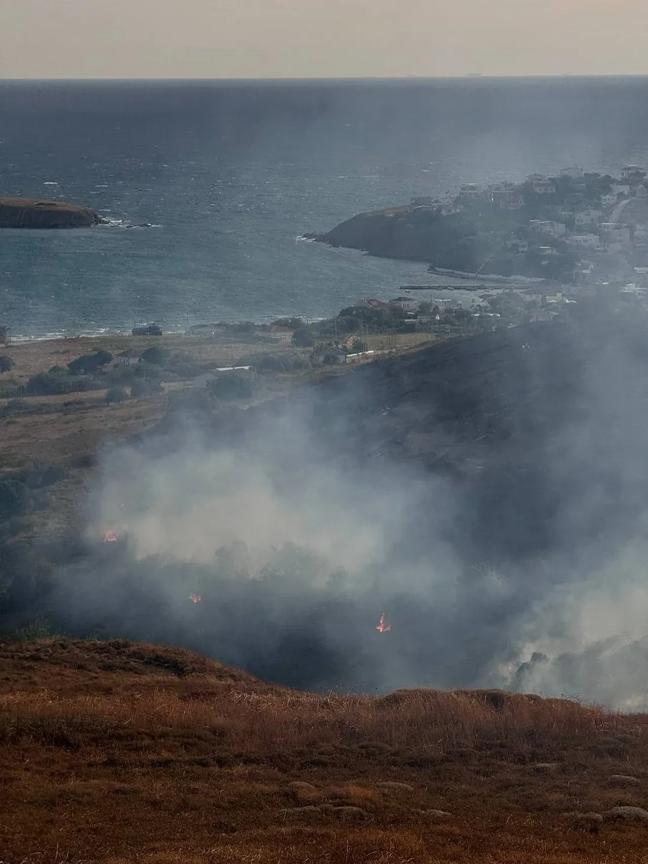 Paşalimanı Adası'nda yangın! Ekiplerin müdahalesi sürüyor
