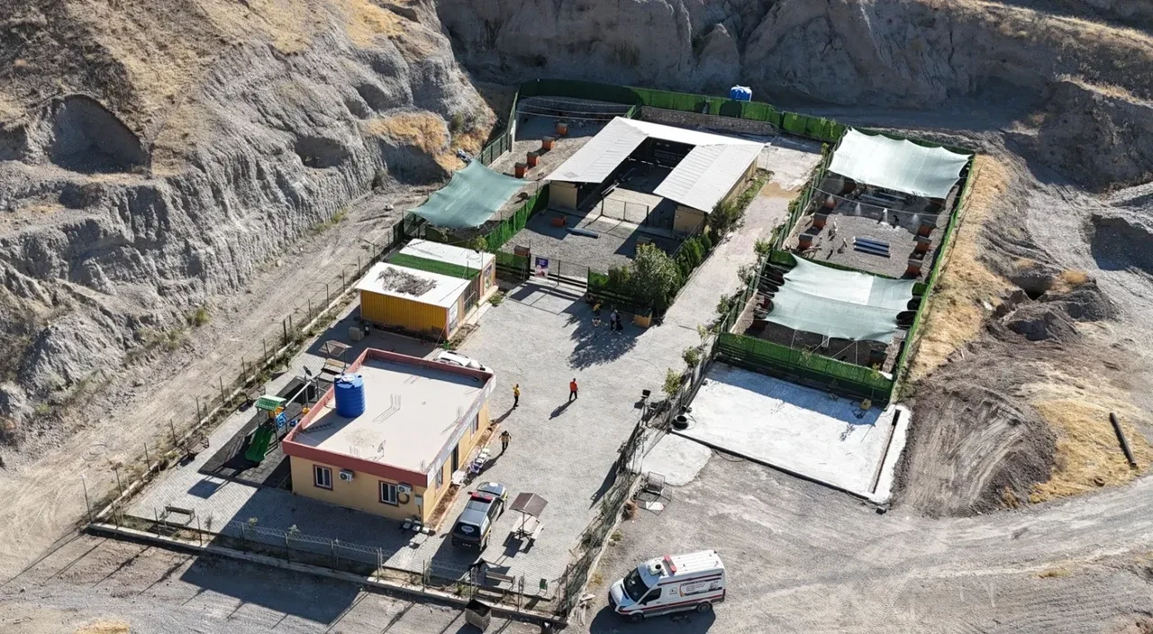 Sıcak havalar yalnızca insanları değil köpekleri de vurdu! Fıskiyenin altında serinliyorlar