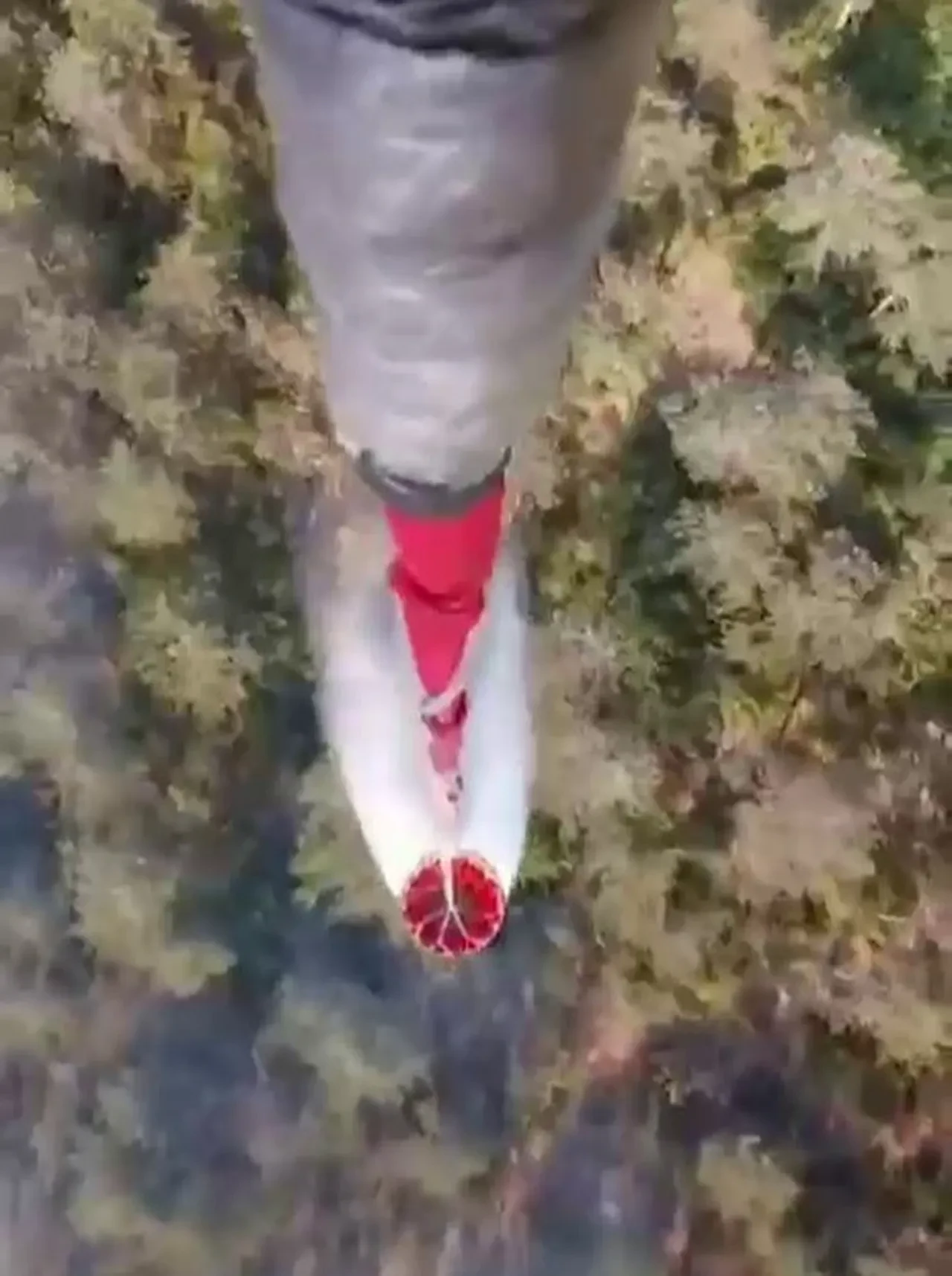 Sinop orman yangını söndü mü son dakika? Durağan ilçesinde yangın