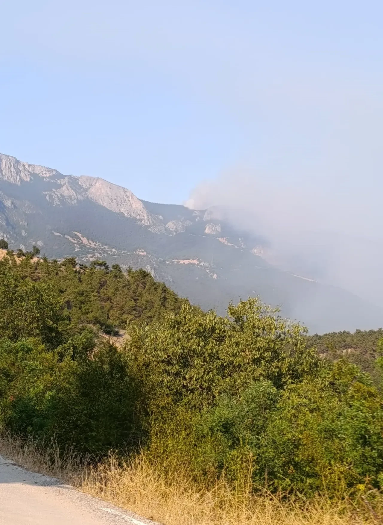 Sinop'ta orman yangını: Alevler ilerliyor, tahliyeler başladı