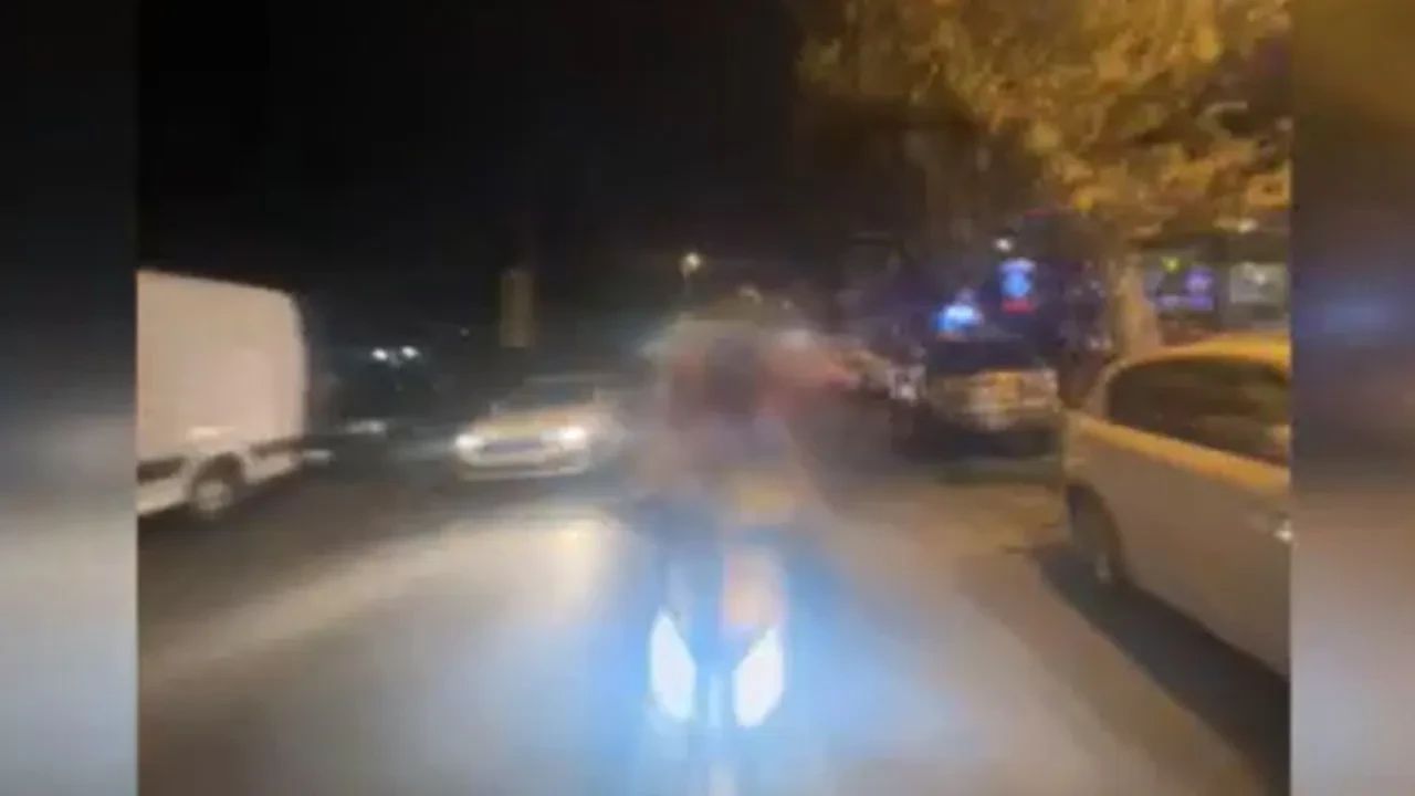 Avcılar