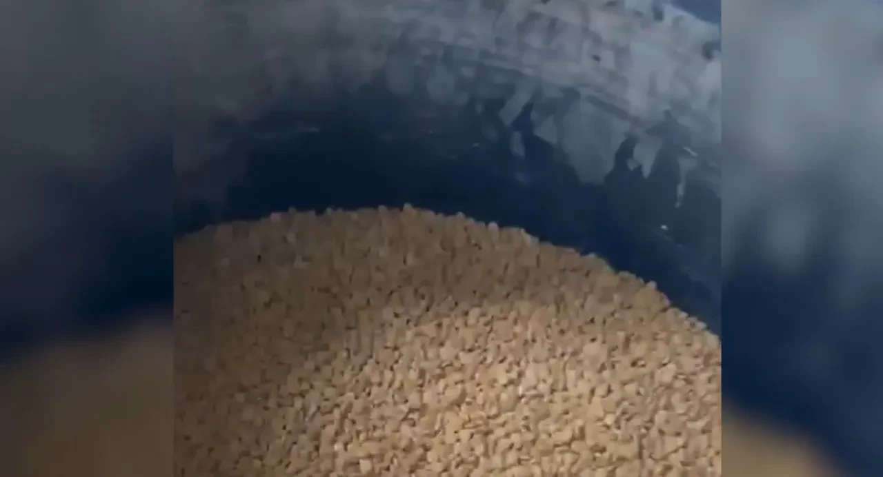 Bakan Yerlikaya duyurdu! Gençleri zehirleyeceklerdi: Milyonlarca hap ele geçirildi