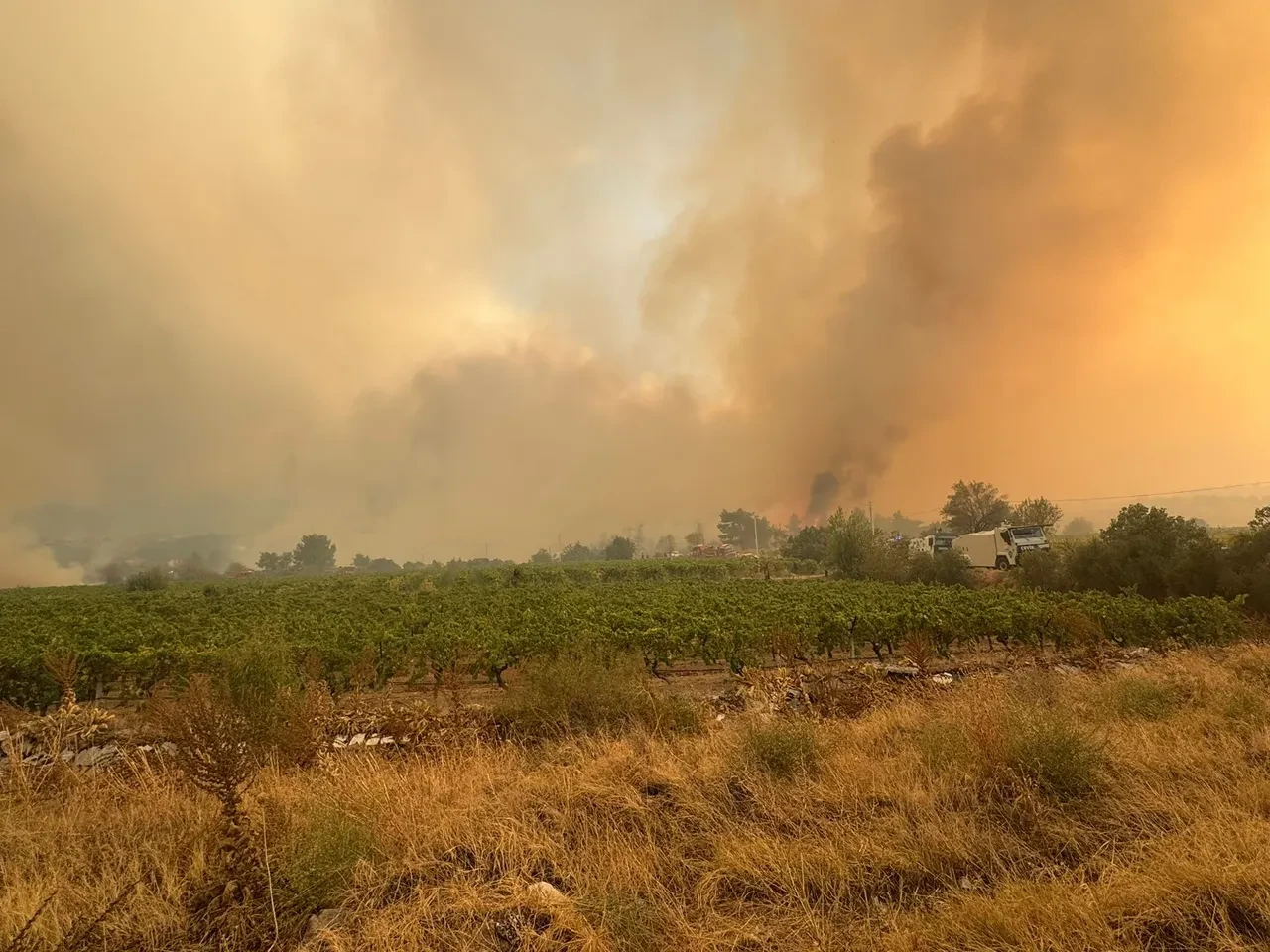 Denizli 5 gündür yanıyor! 2 mahalle boşaltıldı: Ekiplerin alevlerle mücadelesi devam ediyor