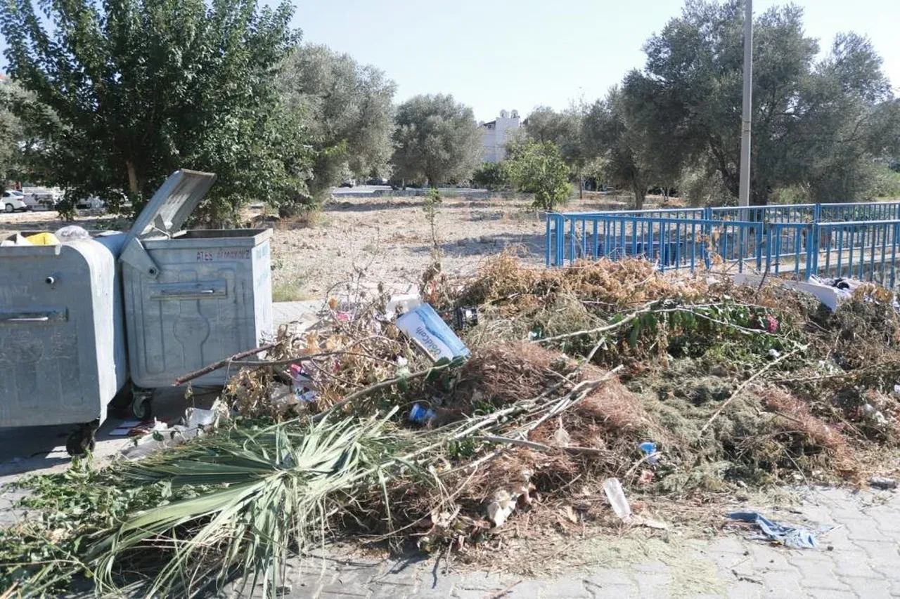 Foça çöp dağlarıyla boğuşuyor! Belediye başkanından tepki çeken ısrar: 'Toplamadım, toplamayacağım'