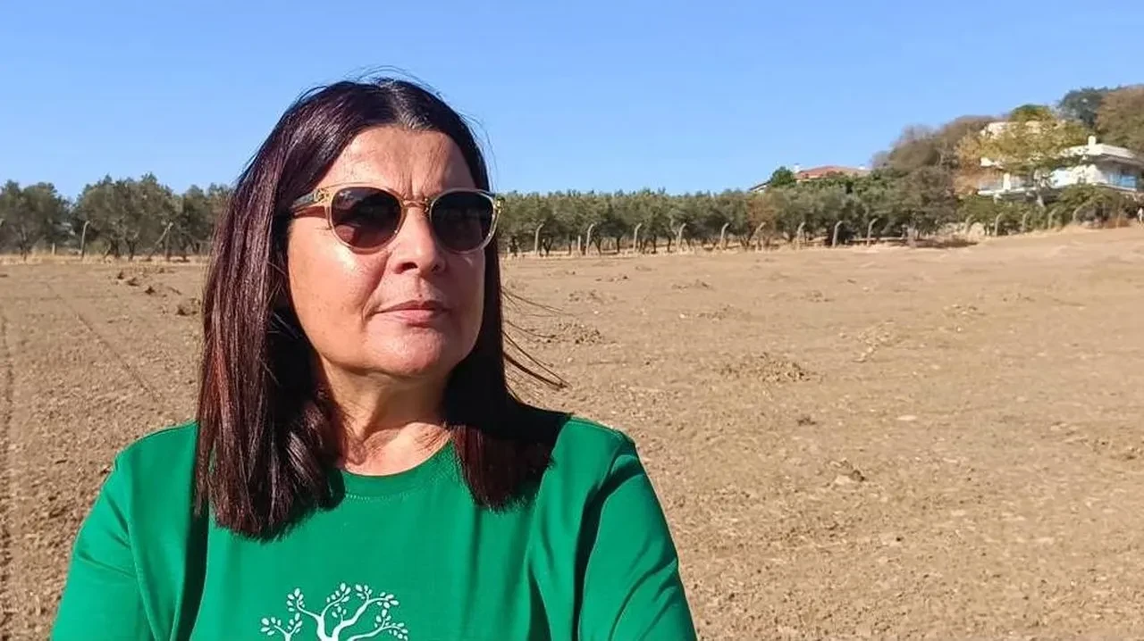 Foça çöp dağlarıyla boğuşuyor! Belediye başkanından tepki çeken ısrar: 'Toplamadım, toplamayacağım'