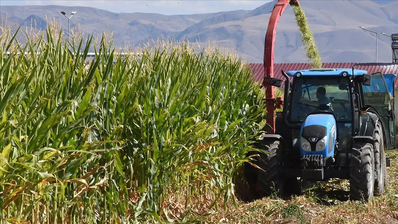Tarımda yeni dönem! Tapulu araziler sahibine sorulmadan kiraya verilecek: Uygulama resmen başladı