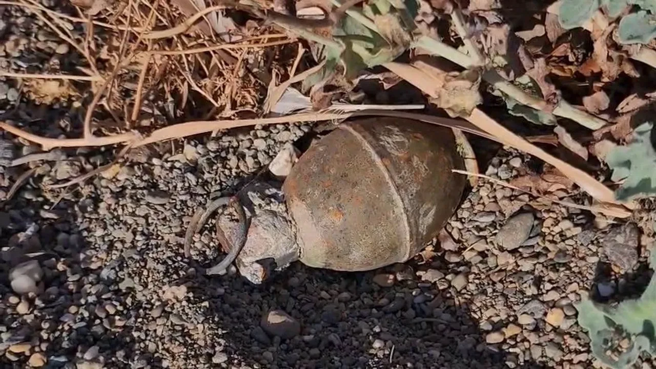 İznik'te bomba paniği! Kurtuluş savaşından kalmış olabilir