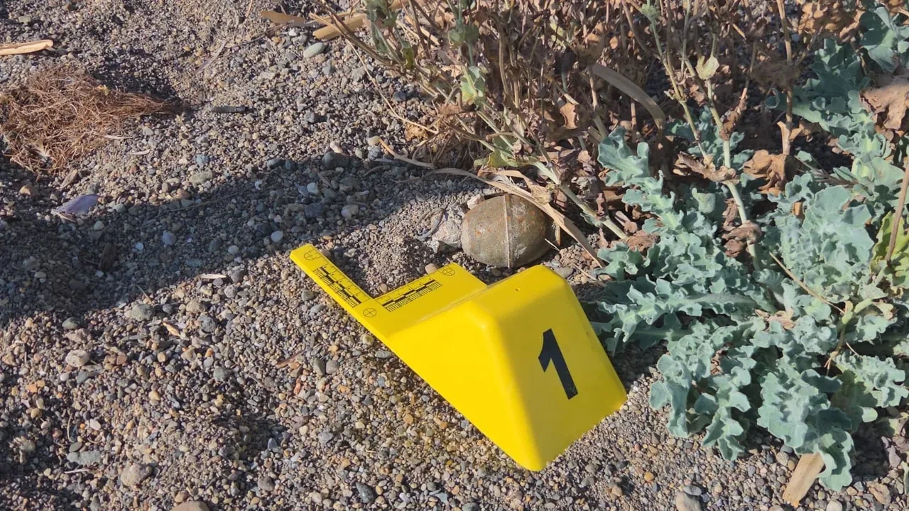 İznik'te bomba paniği! Kurtuluş savaşından kalmış olabilir