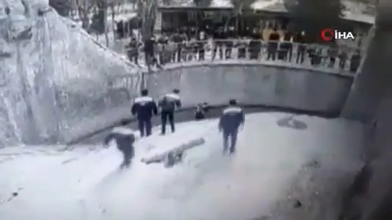 Öz kızına yaptıkları kan dondurdu! Ayı kafesine attı, defalarca bıçakladı: Her detayı korkunç