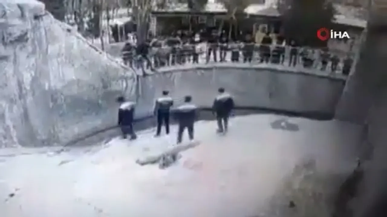 Öz kızına yaptıkları kan dondurdu! Ayı kafesine attı, defalarca bıçakladı: Her detayı korkunç