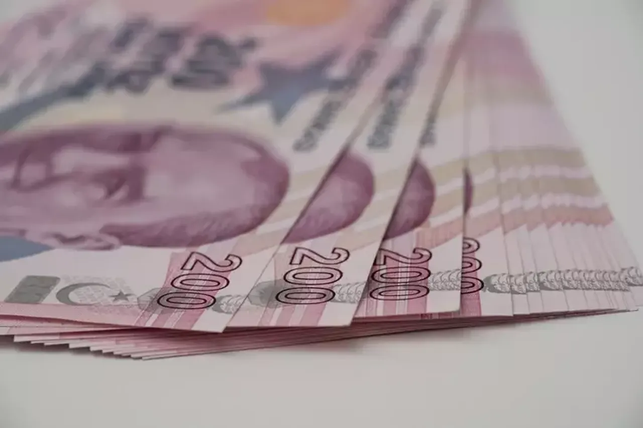 Tamamlayıcı Emeklilik Sistemi TES nedir? TES şartları neler?
