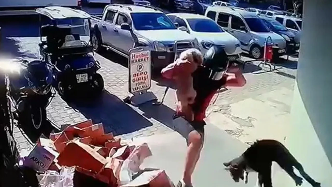 Vicdansız...  Kediyi tekmeyle metrelerce havaya fırlattı