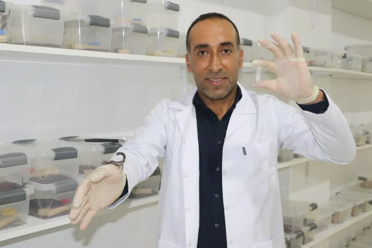 Akrep zehiri servet kazandıracak! Gram fiyatı dudak uçuklatıyor