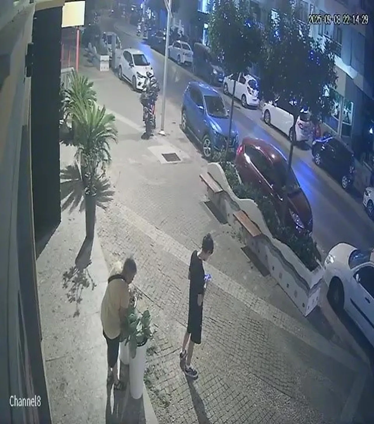 Antalya'da yaşayanlar dikkat! Saksı hırsızlığı başladı