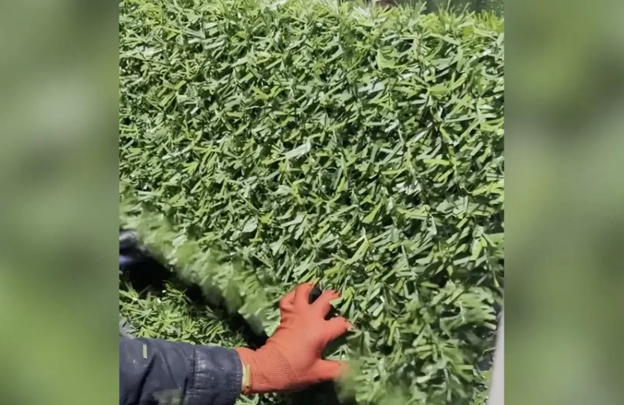 Balıkesir'de üretiliyor, 68 ülkeye satılıyor