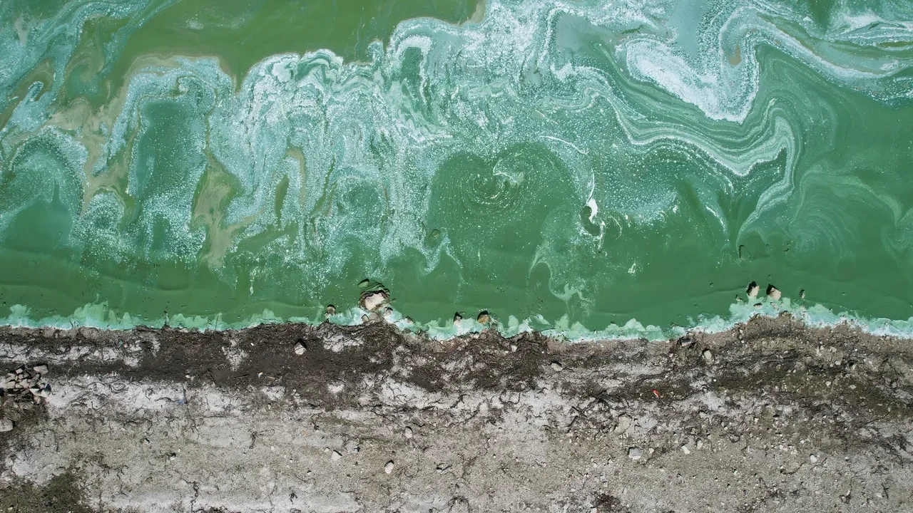 İstanbul'un en önemli su rezervlerindendi! Terkos Gölü'nde endişelendiren görüntü