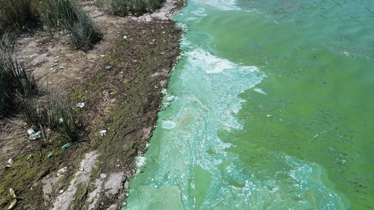 İstanbul'un en önemli su rezervlerindendi! Terkos Gölü'nde endişelendiren görüntü