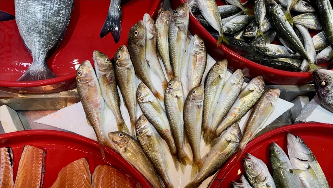 Balık tezgahında en bol balık belli oldu: Kilosu 100 lira