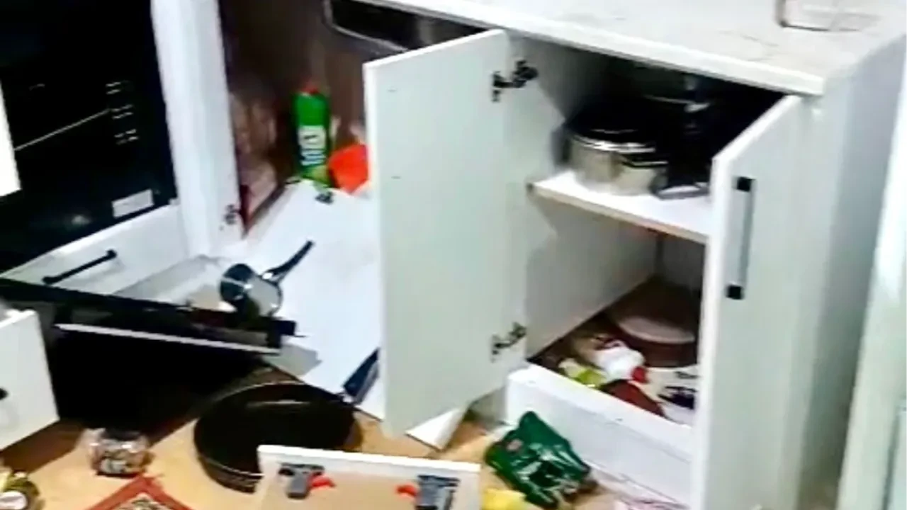 Giresunlular dikkat! Ayılar evlere kadar geldi