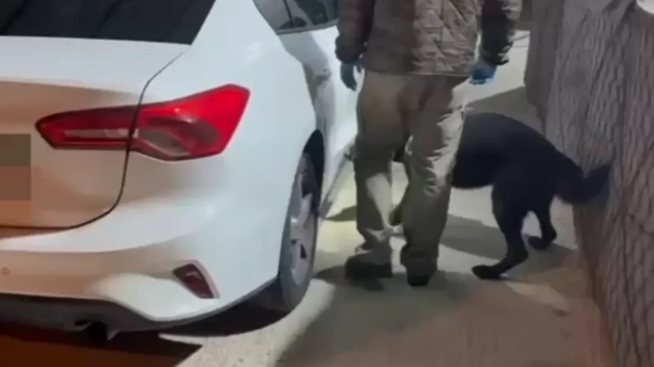 Samsun Emniyeti'nden uyuşturucu operasyonu! Polis köpeği zulaları buldu