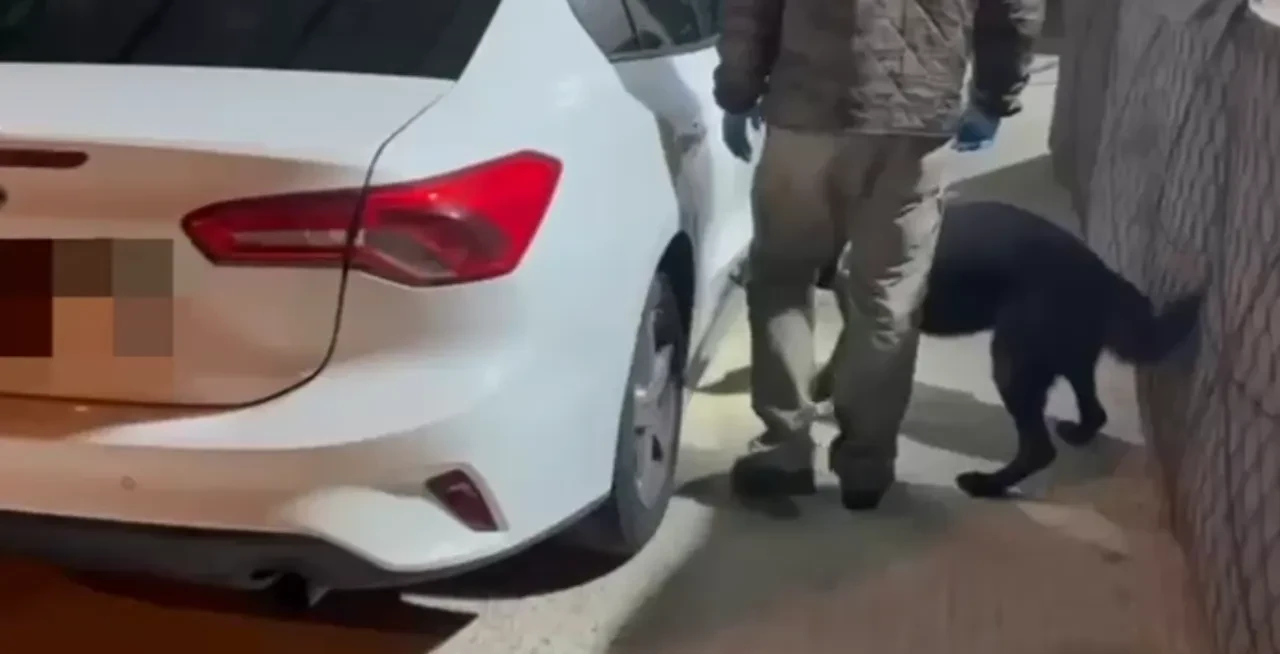 Samsun Emniyeti'nden uyuşturucu operasyonu! Polis köpeği zulaları buldu