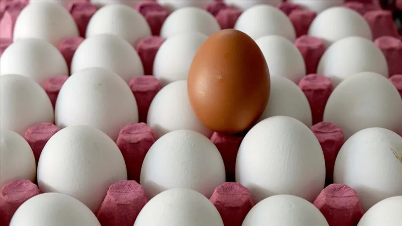 TÜİK açıkladı: Yumurta üretimi yıllık bazda yüzde 4,9 azaldı