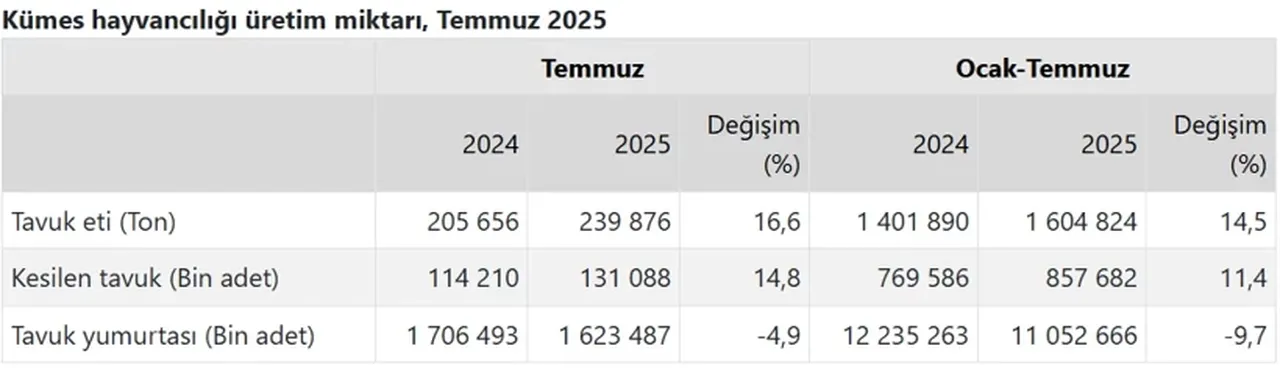 TÜİK açıkladı: Yumurta üretimi yıllık bazda yüzde 4,9 azaldı