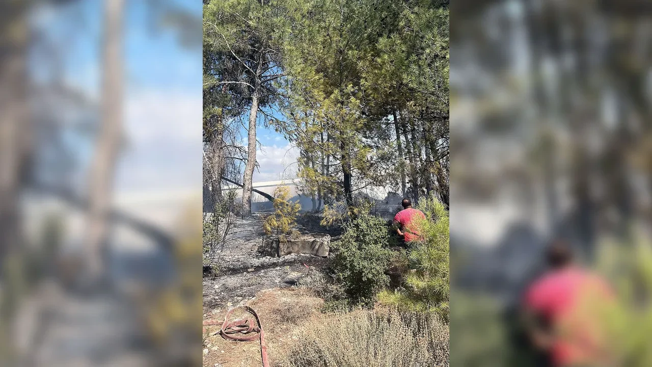Menteşe’deki yangın kısa sürede söndürüldü