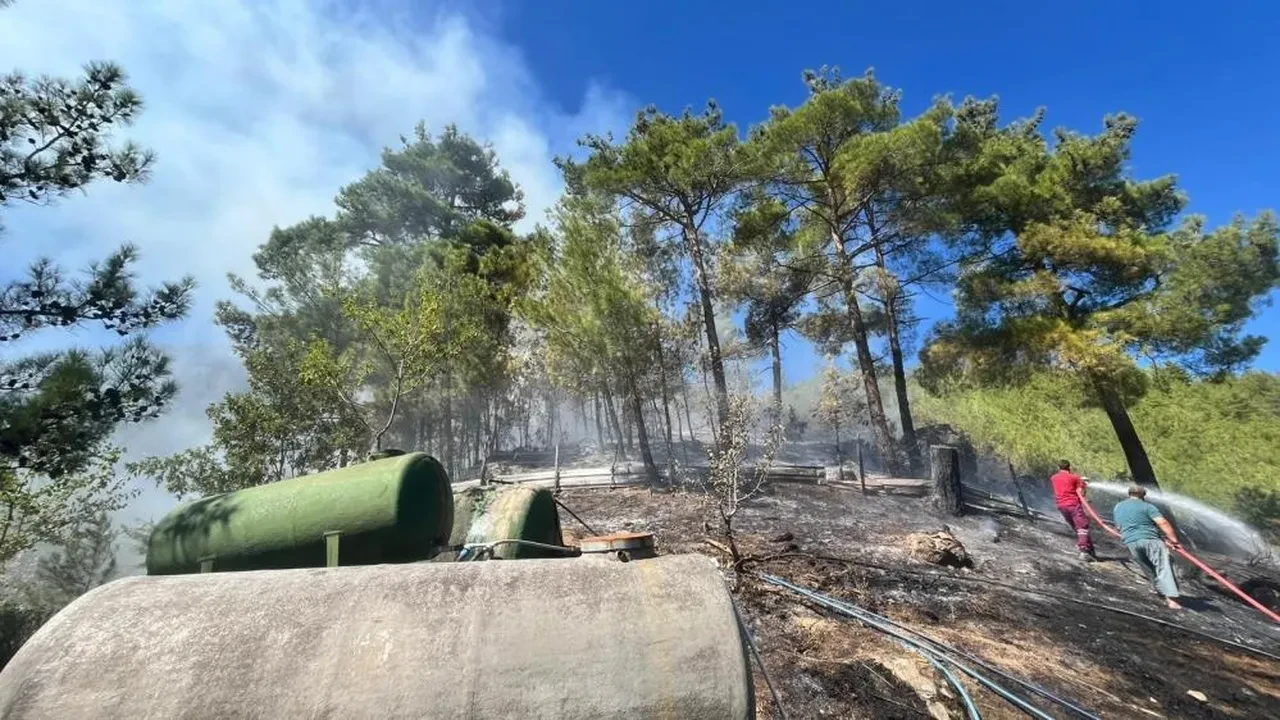 Adana'da orman yangını! Alevlere müdahale sürüyor