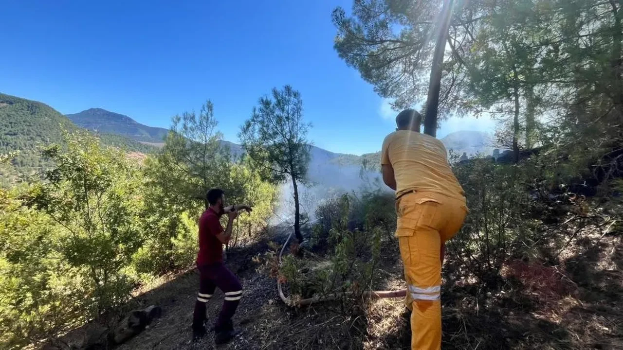 Adana'da orman yangını! Alevlere müdahale sürüyor