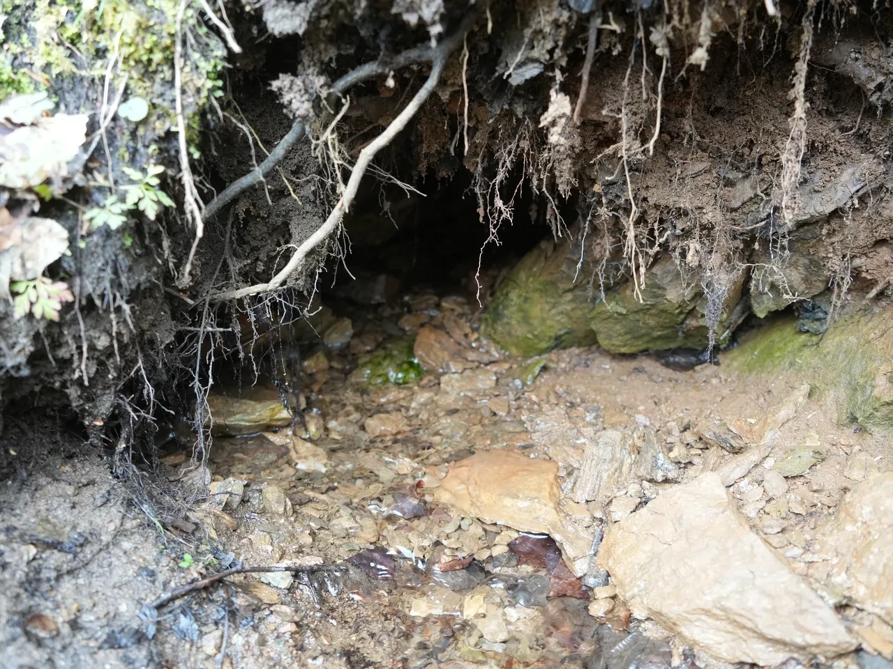 Dua etmeyince akmayan su! Her yerden turist yağıyor